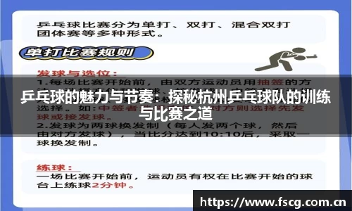 乒乓球的魅力与节奏：探秘杭州乒乓球队的训练与比赛之道