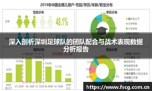 深入剖析深圳足球队的团队配合与战术表现数据分析报告